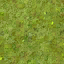 s05_0_field.png