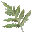 s03_1_leaf.png