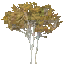 s02_1_tree.png