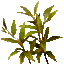 s02_1_grass3.png